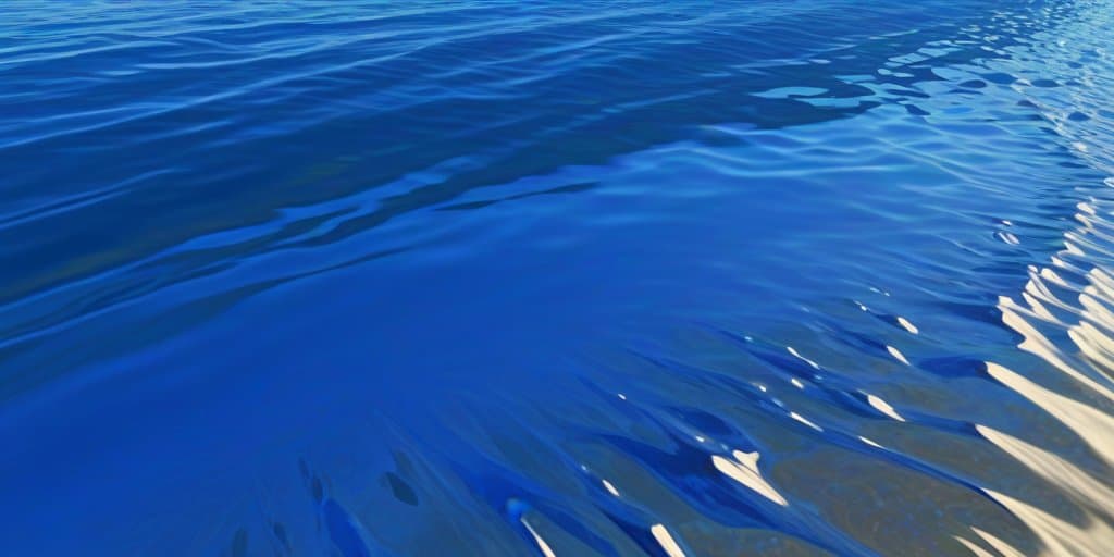 "Ocean Safety: Drones Used to Monitor Sharks and Protect Beachgoers"